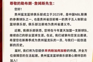 羊肉粉加肉加粉！贵州猛龙：这些理由 能打动詹姆斯加盟球队吗？-tx